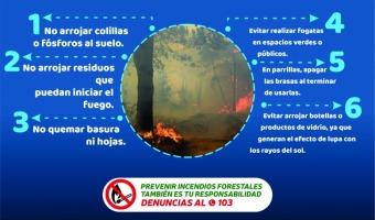 EVITEMOS LOS INCENDIOS FORESTALES